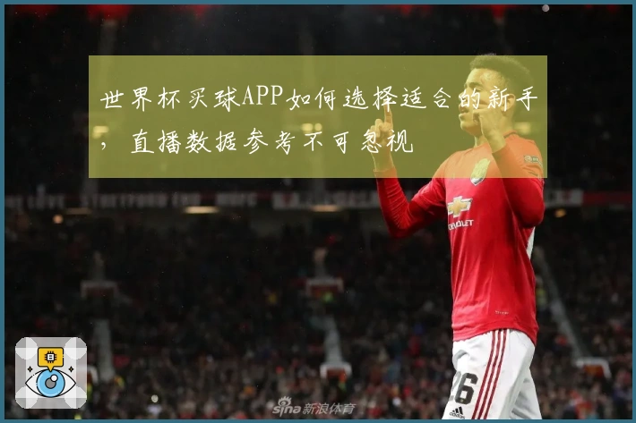 世界杯买球APP如何选择适合的新手，直播数据参考不可忽视