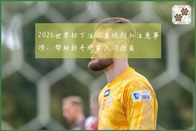 2026世界杯下注必看规则和注意事项，帮助新手玩家入门指南