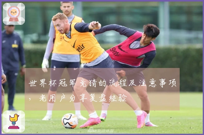 世界杯冠军竞猜的流程及注意事项，老用户分享复盘经验
