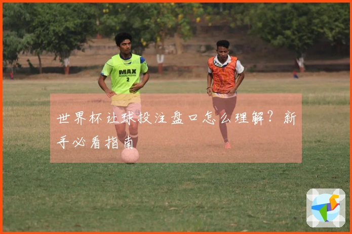 世界杯让球投注盘口怎么理解？新手必看指南