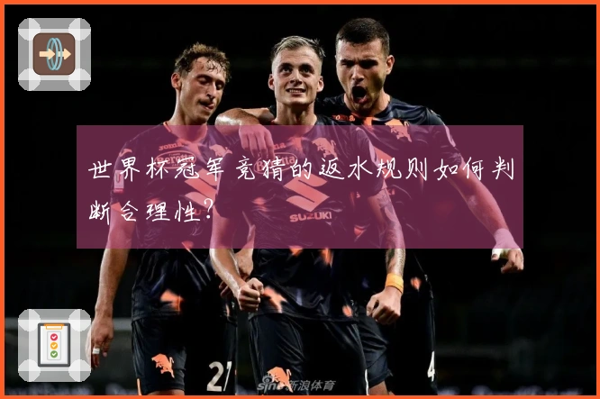世界杯冠军竞猜的返水规则如何判断合理性?
