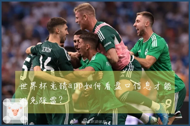 世界杯竞猜app如何看盘口信息才能避免踩雷?