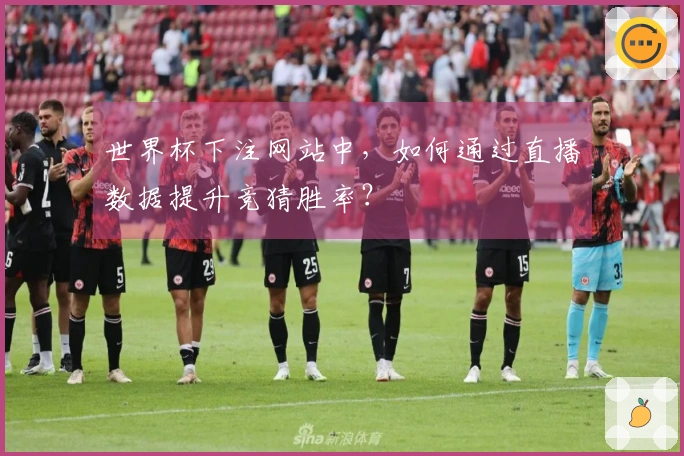 世界杯下注网站中,如何通过直播数据提升竞猜胜率?