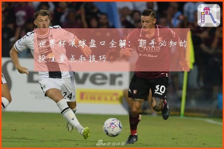 世界杯滚球盘口全解：新手必知的投注要点和技巧