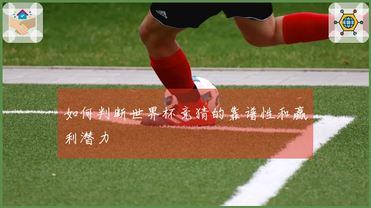 如何判断世界杯竞猜的靠谱性和赢利潜力