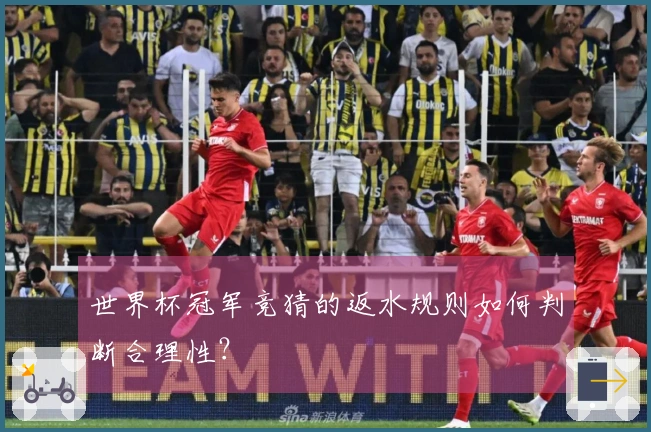 世界杯冠军竞猜的返水规则如何判断合理性？