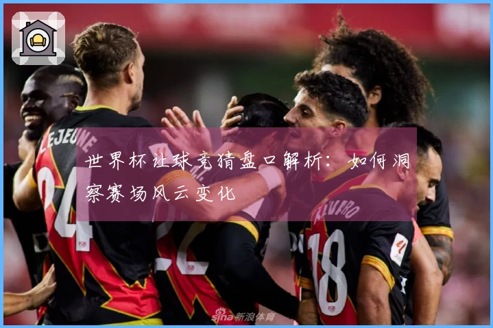 世界杯让球竞猜盘口解析：如何洞察赛场风云变化