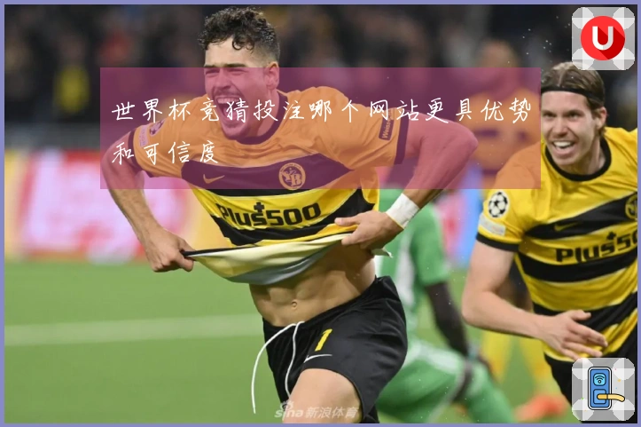 世界杯竞猜投注哪个网站更具优势和可信度