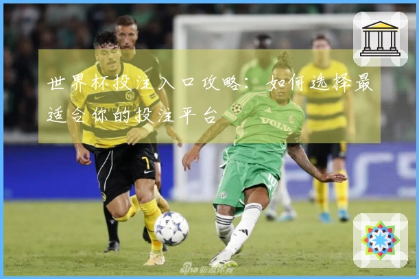 世界杯投注入口攻略：如何选择最适合你的投注平台
