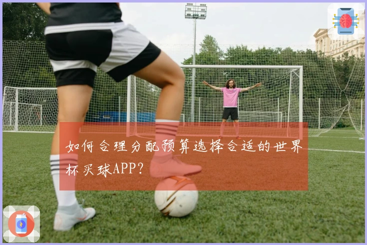 如何合理分配预算选择合适的世界杯买球APP？
