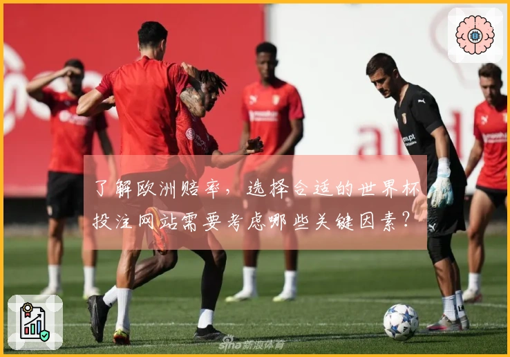 了解欧洲赔率，选择合适的世界杯投注网站需要考虑哪些关键因素？