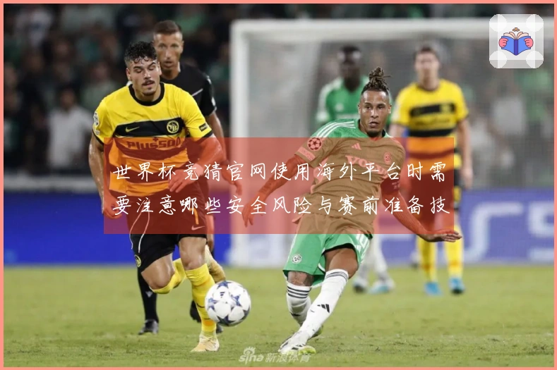 世界杯竞猜官网使用海外平台时需要注意哪些安全风险与赛前准备技巧