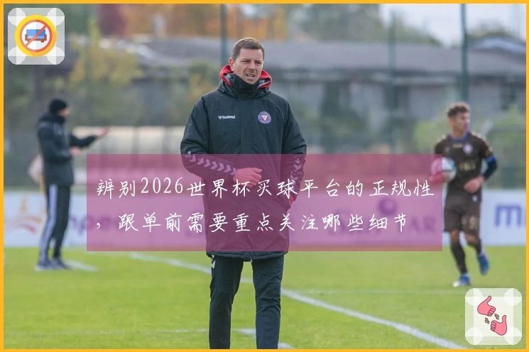 辨别2026世界杯买球平台的正规性,跟单前需要重点关注哪些细节