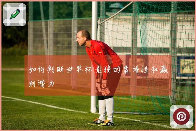如何判断世界杯竞猜的靠谱性和赢利潜力