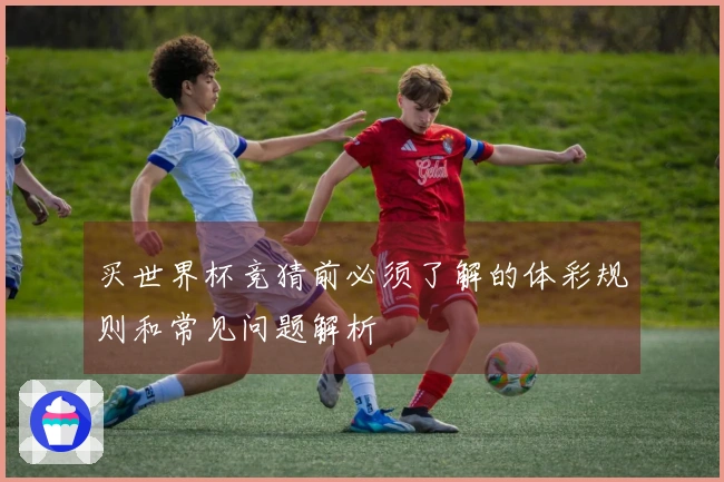 买世界杯竞猜前必须了解的体彩规则和常见问题解析