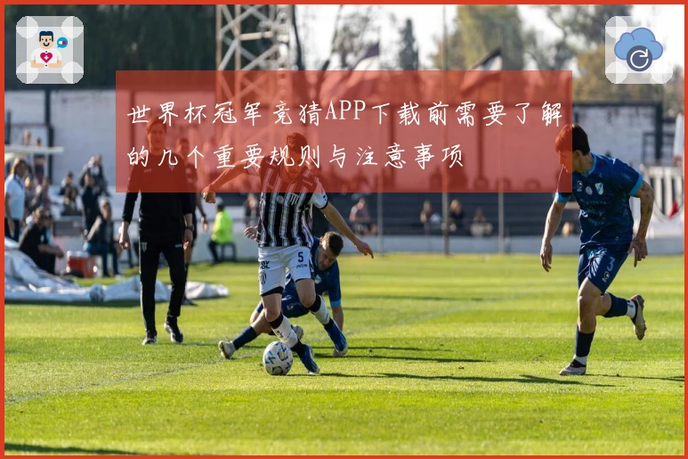 世界杯冠军竞猜APP下载前需要了解的几个重要规则与注意事项