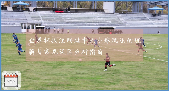 世界杯投注网站中大小球玩法的理解与常见误区分析指南