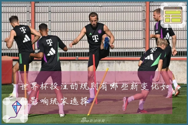 世界杯投注的规则有哪些新变化如何影响玩家选择