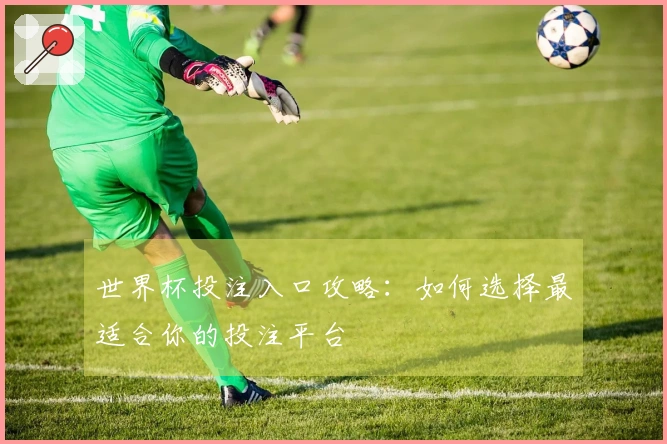 世界杯投注入口攻略：如何选择最适合你的投注平台