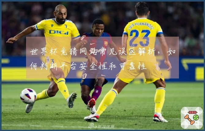世界杯竞猜网站常见误区解析，如何判断平台安全性和可靠性