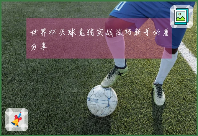 世界杯买球竞猜实战技巧新手必看分享