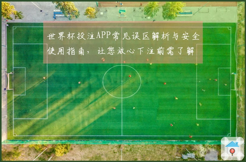 世界杯投注APP常见误区解析与安全使用指南,让您放心下注前需了解哪些关键点