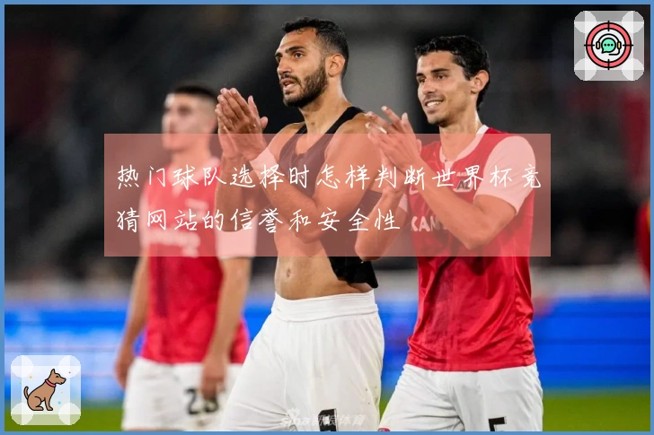 热门球队选择时怎样判断世界杯竞猜网站的信誉和安全性