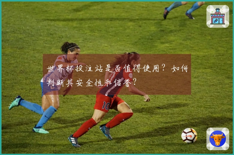 世界杯投注站是否值得使用？如何判断其安全性和信誉？