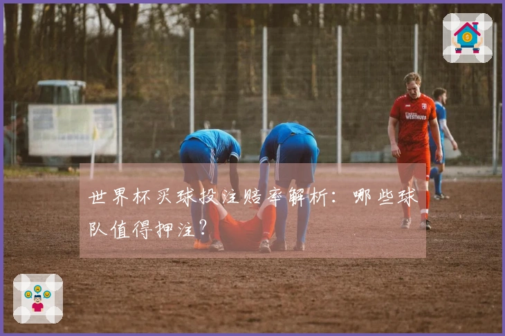 世界杯买球投注赔率解析：哪些球队值得押注？