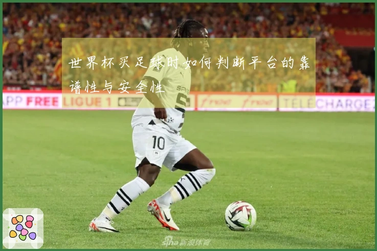 世界杯买足球时如何判断平台的靠谱性与安全性